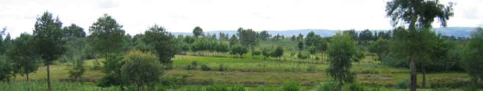 partenaires